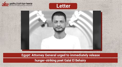 U.S. charity calls on Egypt to release hunger-striking poet